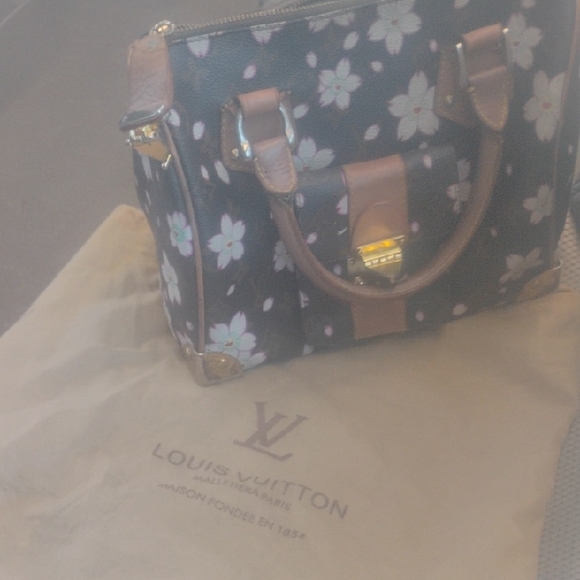 Louis Vuitton Floral Satchel - Black and Brown - Picture 1 of 11